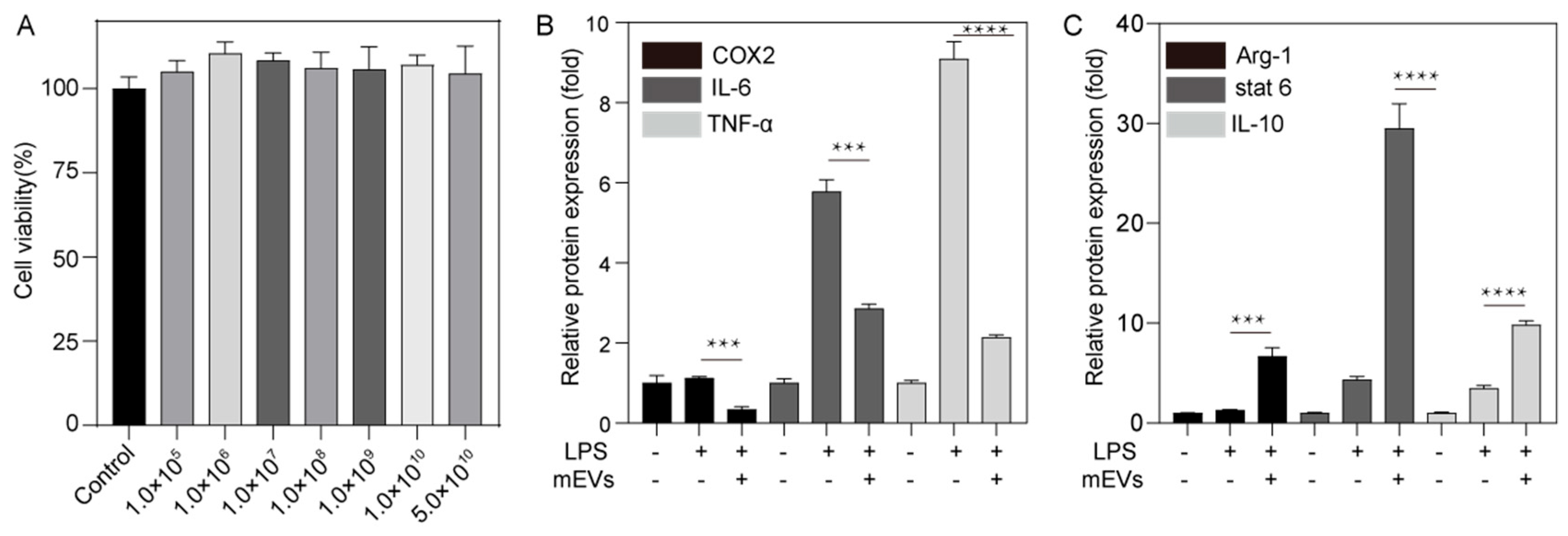 Milk exosomes reduce inflammation and promote anti-inflammatory responses in RAW264.7 cells treated with LPS.